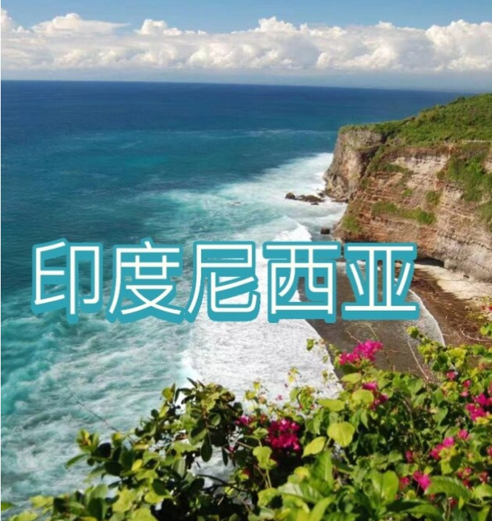 国际电商(印尼)产业博览会AG真人中国2025中国(图3) 国际电商(印尼)产业博览会AG真人中国2025中国(图3)