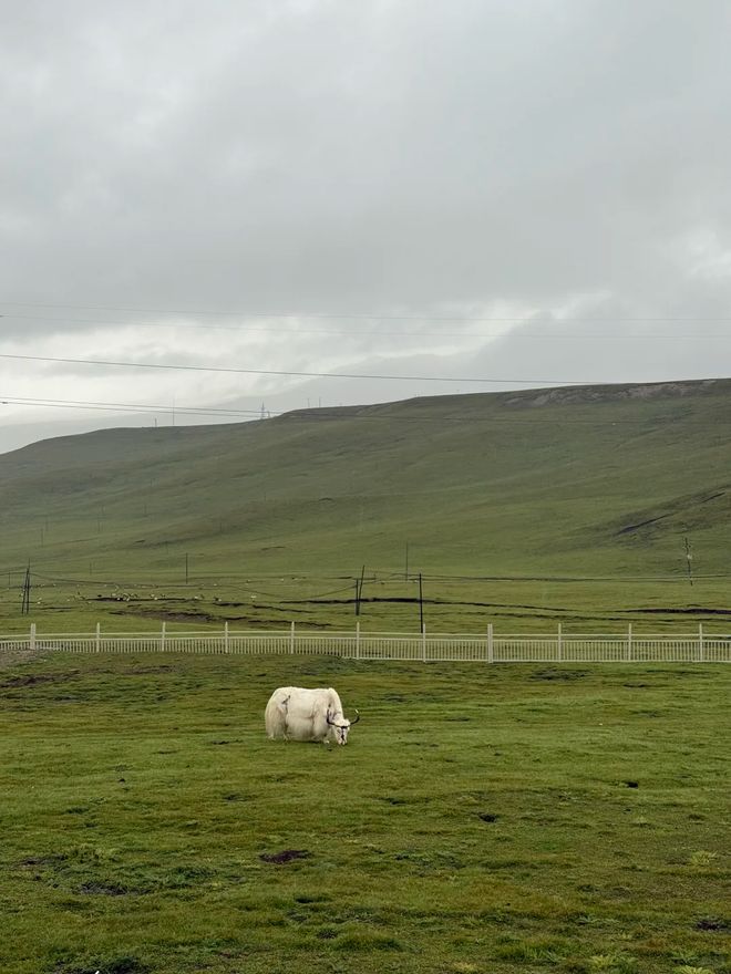 藏这份甘青大环线最佳路线图与深度旅游攻略AG真人百家家乐平台青甘大环线怎么玩？收(图2)
